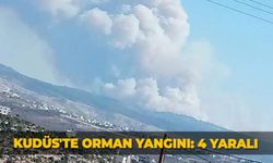 Kudüs'te orman yangını: 4 yaralı