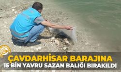 Kütahya Çavdarhisar barajına 15 bin yavru sazan balığı bırakıldı