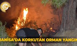 Manisa’da korkutan orman yangını