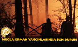 Muğla orman yangınlarında son durum