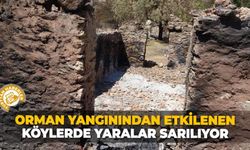 Orman yangınından etkilenen köylerde yaralar sarılıyor