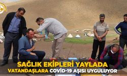 Sağlık ekipleri yaylada vatandaşlara Covid-19 aşısı uyguluyor