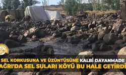 Sel korkusuna ve üzüntüsüne kalbi dayanmadı! Ağrı'da sel suları köyü bu hale getirdi