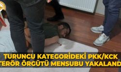 Turuncu Kategorideki PKK/KCK terör örgütü mensubu yakalandı