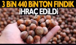 3 bin 440 bin ton fındık ihraç edildi