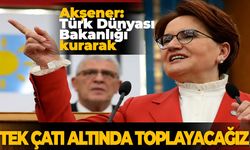 Tek çatı altında toplayacağız