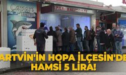 Artvin'in Hopa İlçesin'de hamsi 5 Lira!
