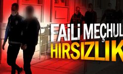 FAiLi MEÇHUL HIRSIZLIK 