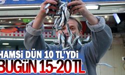 Hamsi dün 10 TL’ydi bugün 15-20 TL