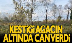 Kestiği ağacın altında can verdi