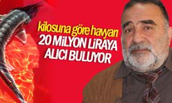 kilosuna göre havyarı 20 milyon liraya alıcı buluyor