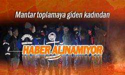 Mantar toplamaya giden kadından haber alınamıyor