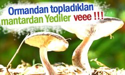 MANTAR YEDİLER SOLUĞU HASTANEDE ALDILAR