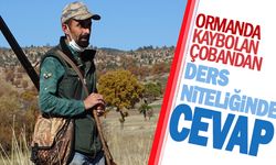 ORMANDA KAYBOLAN ÇOBANDAN DERS NiTELiĞiNDE CEVAP
