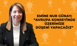 Üzerimize düşeni yapacağız