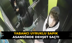 Yabancı uyruklu sapık dehşet saçtı