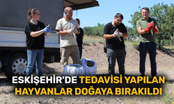 Eskişehir'de tedavisi tamamlanan hayvanlar doğaya bırakıldı