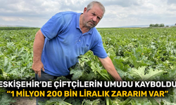 Eskişehir’de çiftçilerin umudu kayboldu...