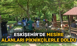 Eskişehir’de mesire alanları piknikçilerle doldu