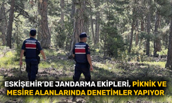 Eskişehir’de piknik ve mesire alanlarında denetimler yapılıyor