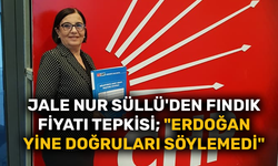 Jale Nur Süllü'den fındık fiyatı tepkisi; "Erdoğan yine doğruları söylemedi"