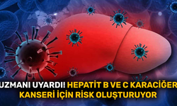 Hepatit B ve C karaciğer kanseri için risk oluşturuyor