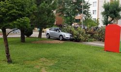 Eskişehir'de park halindeki otomobilin üzerine ağaç devrildi