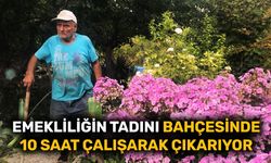 Emekliliğin tadını bahçesinde 10 saat çalışarak çıkarıyor