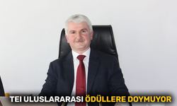 TEI uluslararası ödüllere doymuyor