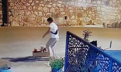 Şaşkın hırsız; Yol kenarındaki çiçeği saksıyla beraber götürdü