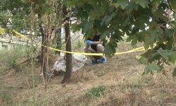 Şüpheli ölüm: Ağaçta asılı bulundu