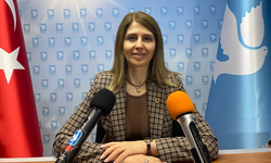 DSP'li Dilara Tambova: "Var gücümüzle mücadeleye devam edeceğiz"