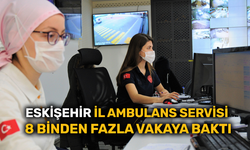 Eskişehir İl Ambulans Servisi 8 binden fazla vakaya baktı