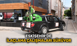 Eskişehir'de ilaçlama çalışmaları sürüyor