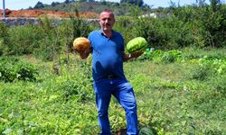 17 dönüm tarlada hasat yapan çiftçi: “Tarımda ki kazanç şu anda hiçbir sektörde yok”