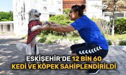 Eskişehir'de 12 bin 60 kedi ve köpek sahiplendirildi
