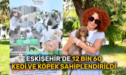Eskişehir'de 12 bin 60 kedi ve köpek sahiplendirildi