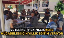 Veteriner hekimler, kene mücadelesi için yıllık eğitim veriyor