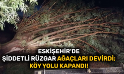 Eskişehir'de şiddetli rüzgar ağaçları devirdi; köy yolu kapandı!