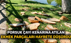Porsuk Çayı kenarına atılan ekmek parçaları hayrete düşürdü