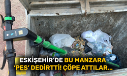 Eskişehir’de bu manzara 'pes' dedirtti! Çöpe attılar...