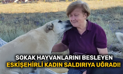 Sokak hayvanlarını besleyen Eskişehirli kadın saldırıya uğradı!