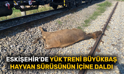 Eskişehir’de yük treni büyükbaş hayvan sürüsünün içine daldı