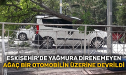 Eskişehir'de yağmura direnemeyen ağaç bir otomobilin üzerine devrildi