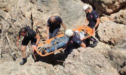 Manzara izlemek için 30 metre yükseğe çıktı; Sonu kötü bitti