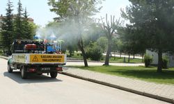 Eskişehir'de sinek popülasyonunun artmasını engelliyorlar