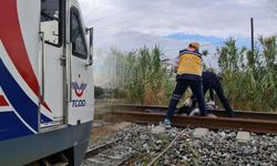 Dehşet verici anlar; Tren çarptı!