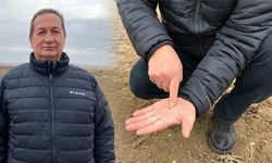 Eskişehirli çiftçiler zor durumda; Arazilerde verim kaybı endişesi!