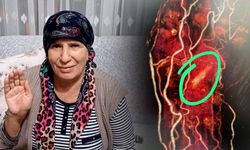 Yanlış tanıyla geçen ayları kabusa döndü!