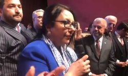 İYİ Parti'ye oy kaybettiren süreç sona erdi; Emine Edizgil'i zorlu bir süreç bekliyor!